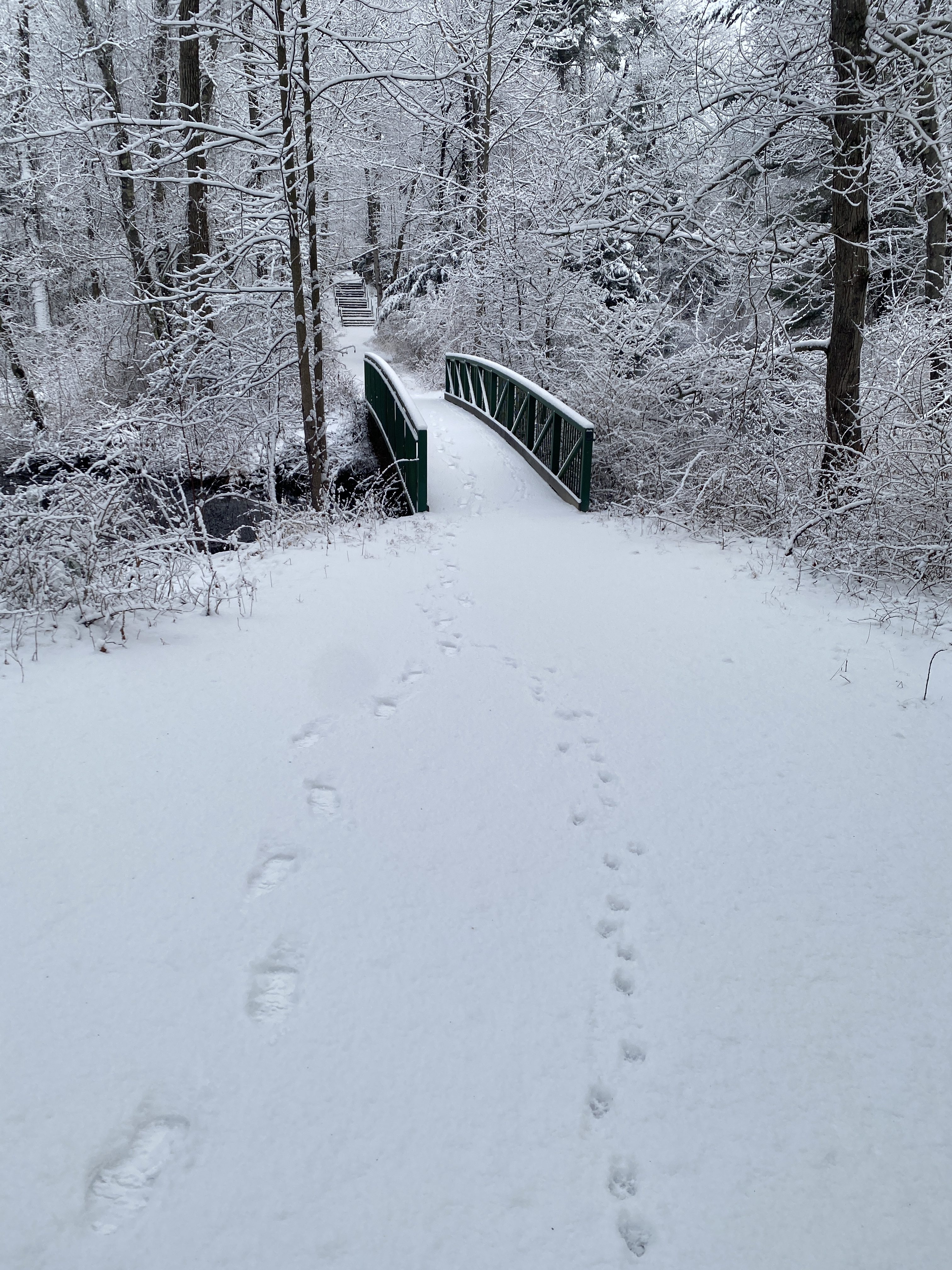 Plans for Sunday, January 25